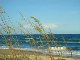 Oregon scenic beaches stretch for miles.  Easy access all along the coastline.  Sandy beaches, rock formations, dunes, coves,...
