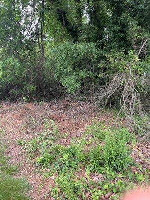 Chesapeake Bay Management