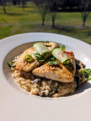 Red snapper with coconut risotto