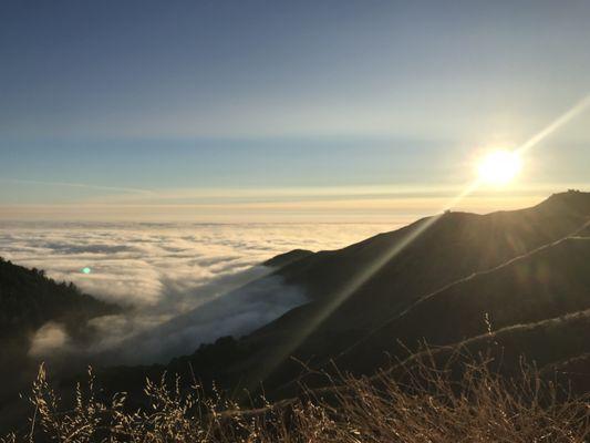 Illuminated Potential