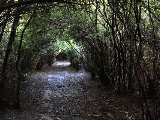South Slough National Estuarine Research Reserve