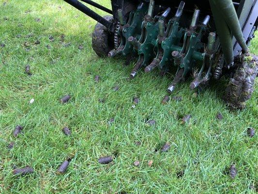 Driftwood Property Services