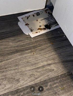 Sugartree Apartments