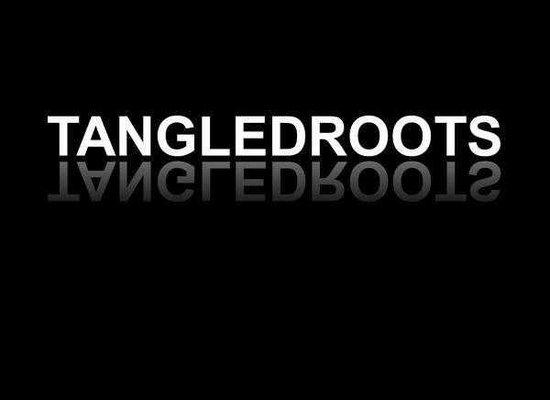 Tangled Roots Dance Studio