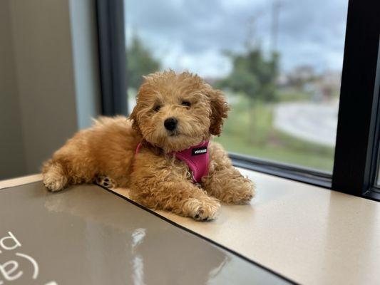 Quivira Crossing Veterinary Clinic