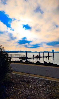 Odyssey Open Water Swimming