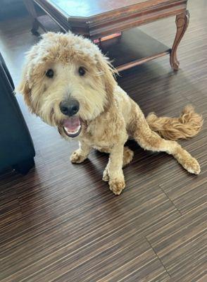 OK Canine Corral East