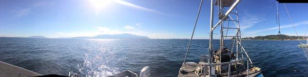 Lummi Island Wild