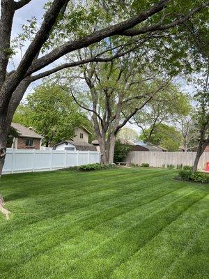 KW Lawn and Landscape