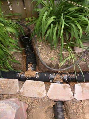 Pedigo Exterior Drainage Services