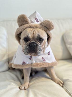 Bathrobe Dog Blanket