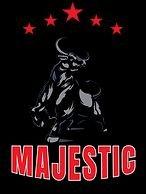 Majestic Concrete Coatings