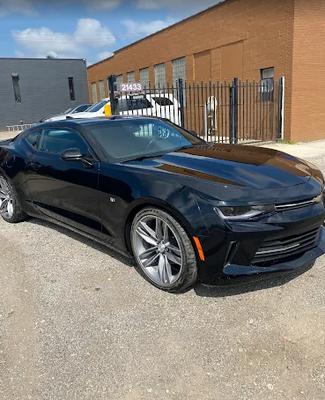 Collision Guys - Warren