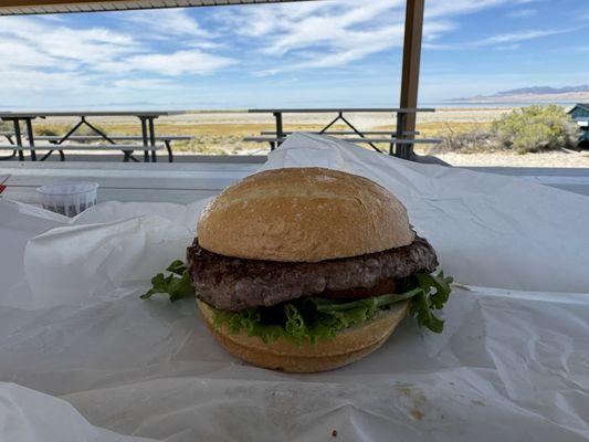 Bison burger minus onion
