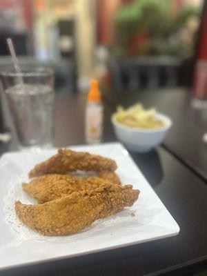 Catfish Tenders