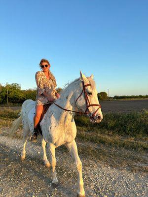 Orchid Stables Riding Club