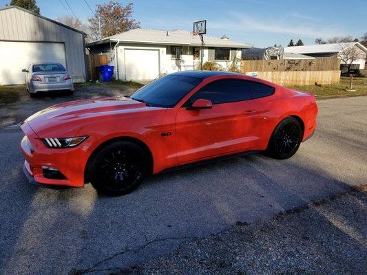 Fantastic job on this newer mustang. Blacked out the windows and Installed some paint protection