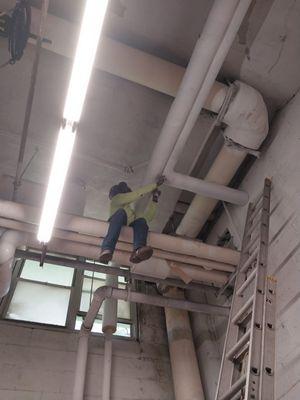 August Elite Management