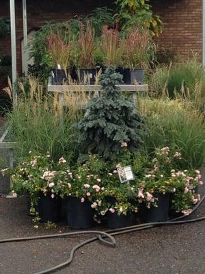Harmony Gardens