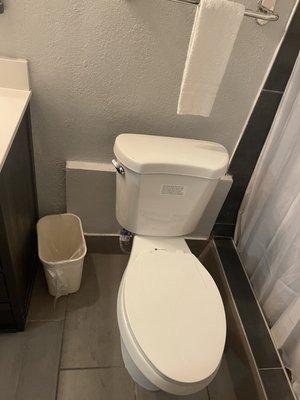 NO TOILET PAPER?!?! No place for it?!?!?! Nice surprise. Not