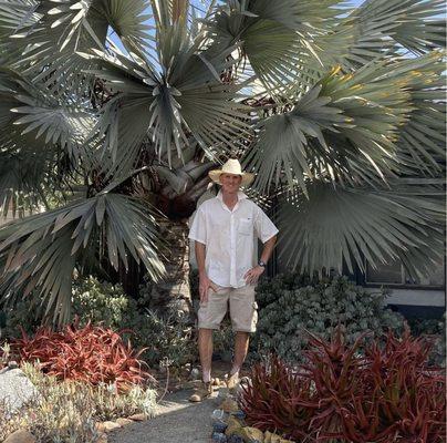 Plants Comprehensive