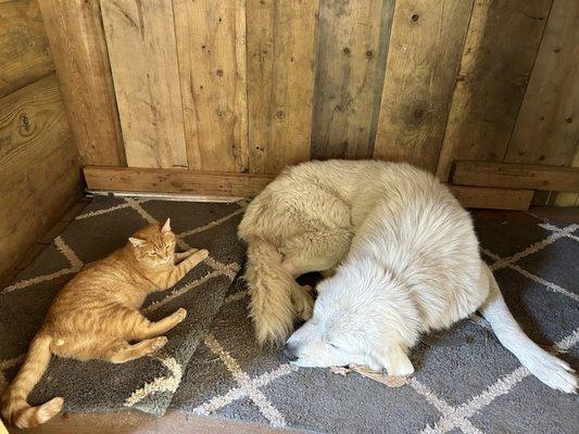 Golden Gardens Sanctuary