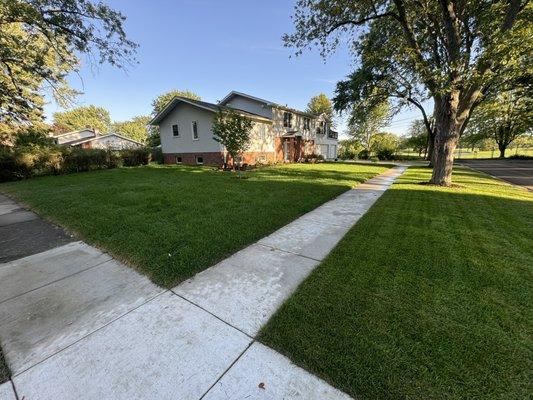 J & P Brothers Landscape