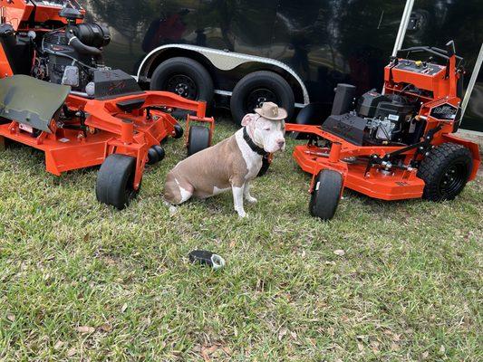 Walters Southern Lawn Care