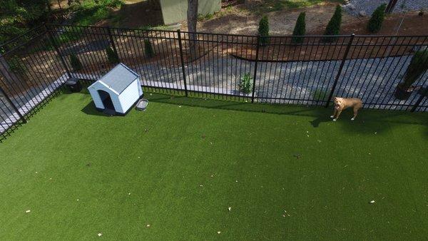 our dogs love the pet area