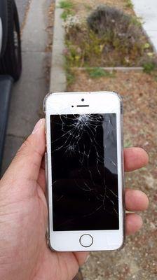 Mobile Kangaroo - San Rafael