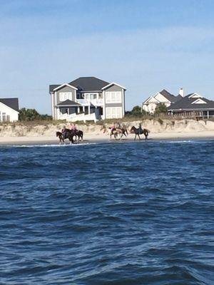 A day of fishing in Garden City South Carolina!