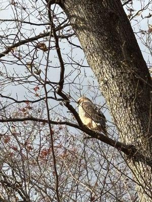 South Mountain Reservation