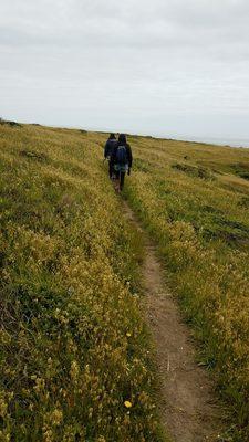 Hike from the campground along the coast was beautiful! Watch out for poison oak at the beginning of trail.