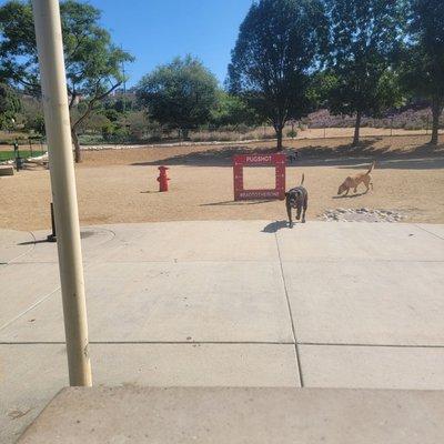 Montiel Park Disc Golf Course