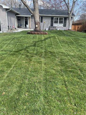 Impact Lawn Care