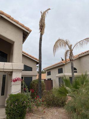 2 Hernandez Landscaping