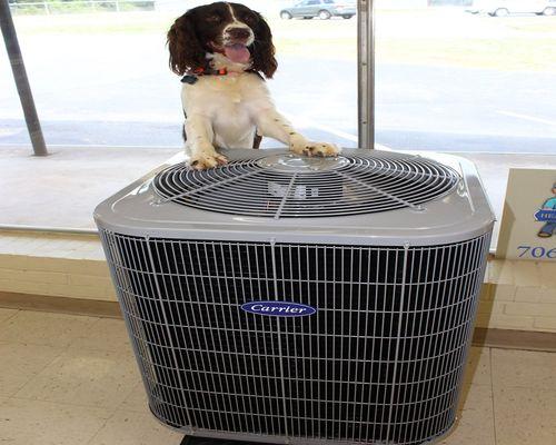 Carrier Hvac Specialist