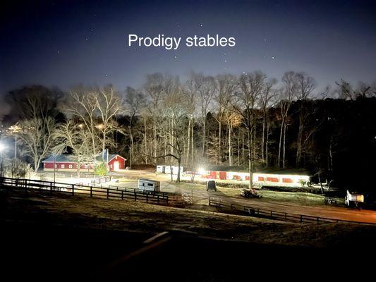 Prodigy Stables