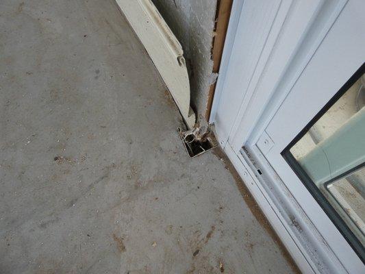 Amer Building Inspection Services