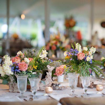 Birch rustic design for a reception at French Park design by Ford-Eliington