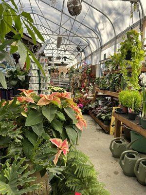 Sweet Peas Garden Shop