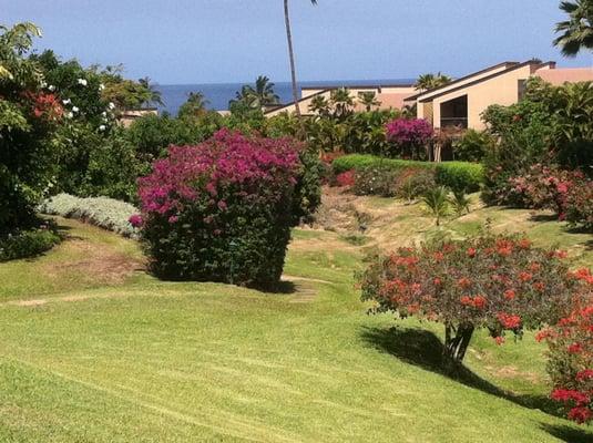 Wailea Condominium Reservations