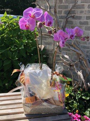 Last minute 50th anniversary gift. Called Flowers by Rori, dealt with Ryan. Customer service like it used to be, outstanding!!! Was looking