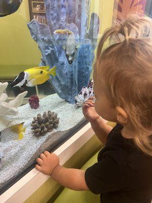 OWL Pediatric Dentistry