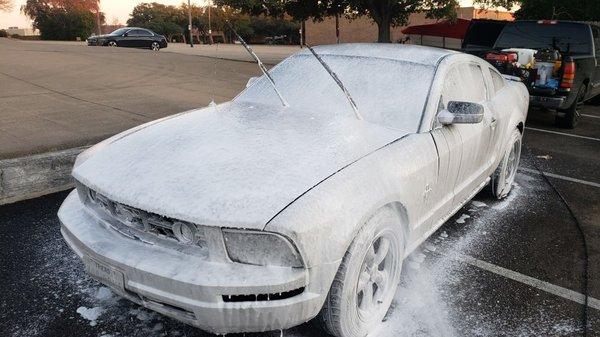 Attention To Detail DFW