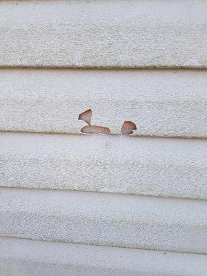 Princeton Irrigation Specialists