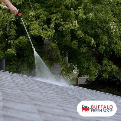 Buffalo Fresh Roof