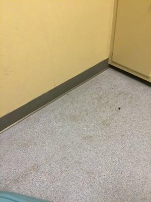 Anderson G Bret Dntst