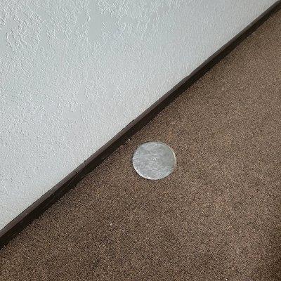 AAA Service Technician