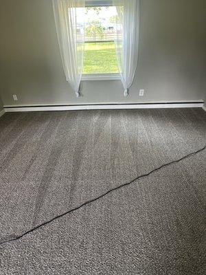 FRESHLY CLEANED CARPET
